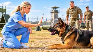 Military K9 Was Hours from Death — Until One Nurse Said the Word Nobody Else Thought to Try