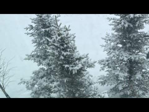 Winter is not over - YouTube