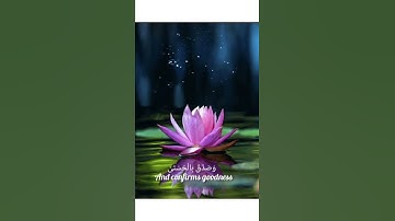 سورة الليل من الآية (١) إلي الآية (١١) بصوت القارئ إسلام صبحي