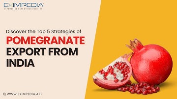 Discover the Top 5 Strategies of Pomegranate Export from India