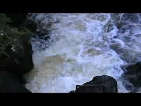 Salmon run Oughterard  - Galway