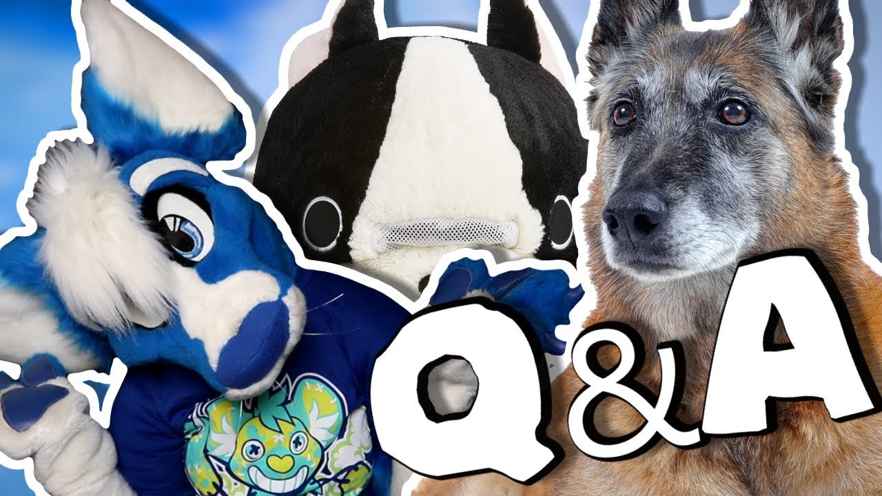 Old furs, crazy species, & maskimals! [Q&A #14]