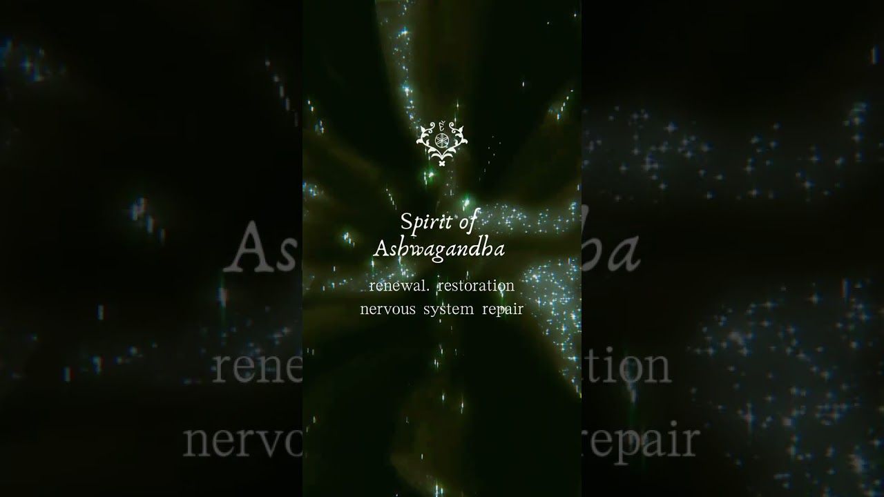 Tired one, lay it down. Let the roots hold you. Let the light return. 🌟