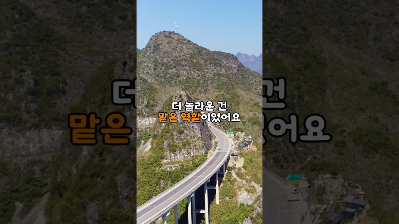22개 팀을 제치고 한국이 히말라야 고속도로를 맡은 충격적인 이유