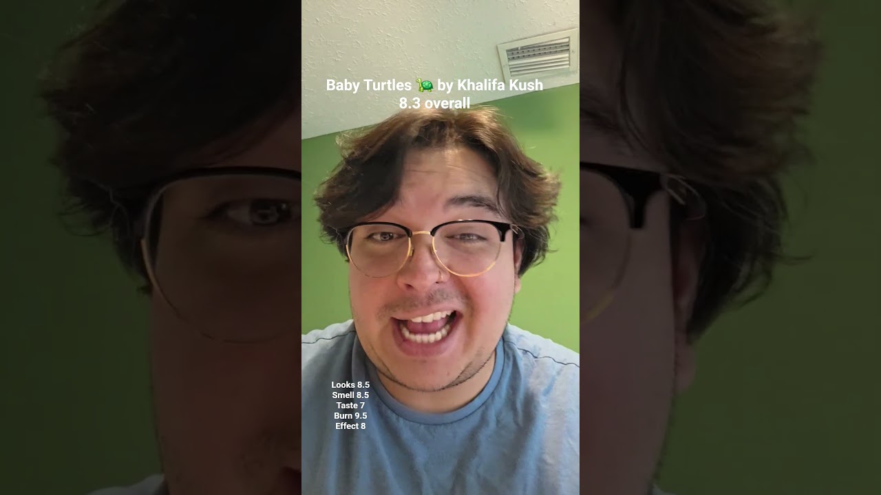 Baby Turtles 🐢 by Khalifa Kush at Trulieve. 