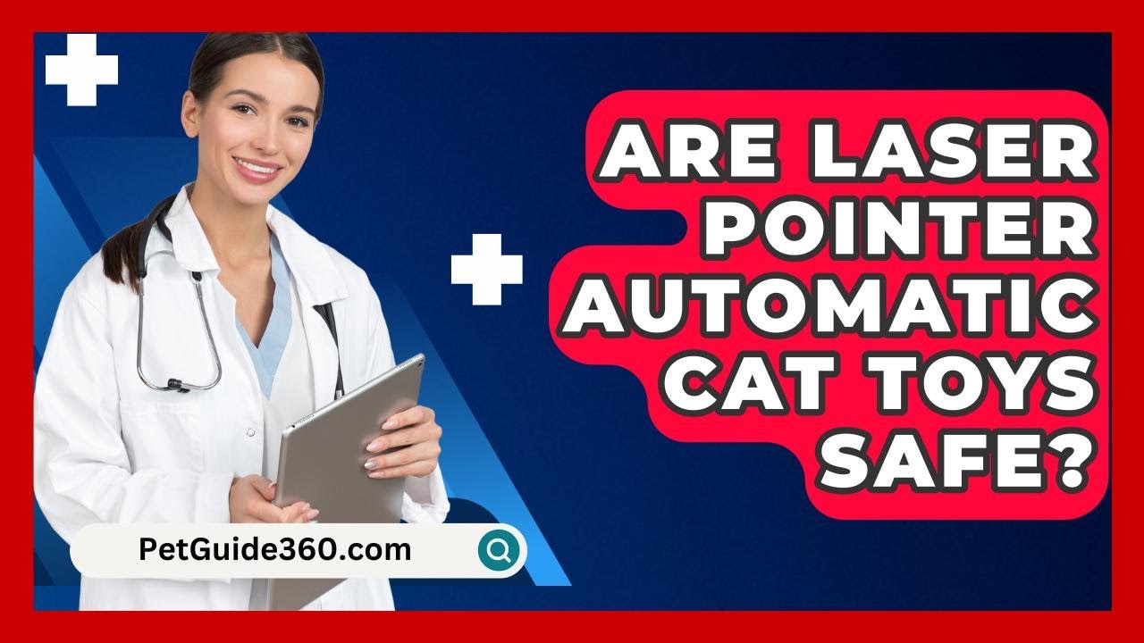 Are Laser Pointer Automatic Cat Toys Safe? - PetGuide360.com