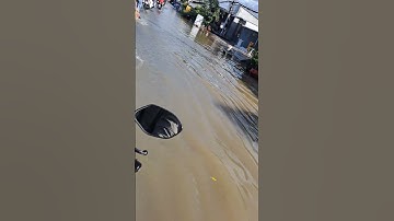 quê em mùa nước nổi