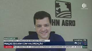 Mercado do boi gordo segue em valorização