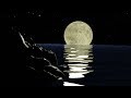 Comprendre les phases de la Lune
