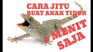 Suara Tokek Cara Jitu Buat Anak Cepat Tidur Dalam 5 menit