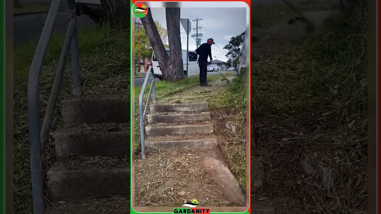 #92 "Epic Cleanup Transformation | Watch the Magic of Cleaning!"