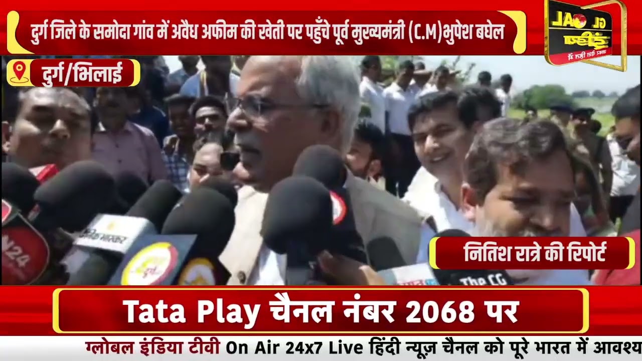 दुर्ग जिले के समोदा गांव में अवैध अफीम की खेती पर पहुँचे पूर्व मुख्यमंत्री (C.M)भुपेश बघेल