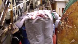 Cape Ann Seafood Exchange