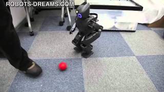 DARwin-OP Robot in Japan