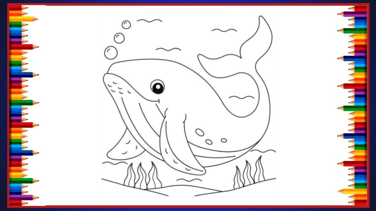 Fish Drawing video| Fish Drawing Outline |Drawing fish For Kids | Shark Drawing