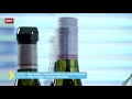 Weine im Test: Pestizid-Cocktails im Schweizer Wein | 2020 | Kassensturz | SRF