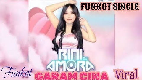 FUNKOT SINGLE ( GARAM CINA ) REMIX VIRAL 2025‼️BY DJ RINI AMORA