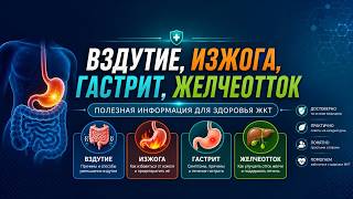 ❓Как решить вопросы вздутия, изжоги, гастрита и нарушения желчеоттока раз и навсегда