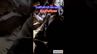 ภารกิจช่วย 7 ชีวิตติดถ้ำ ทางการลาวเปิดทางเต็มที่  กู้ภัยขาดเหลืออะไรบอกมาได้เลย