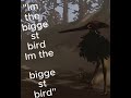 Finding the biggest bird in lethal company: day 1