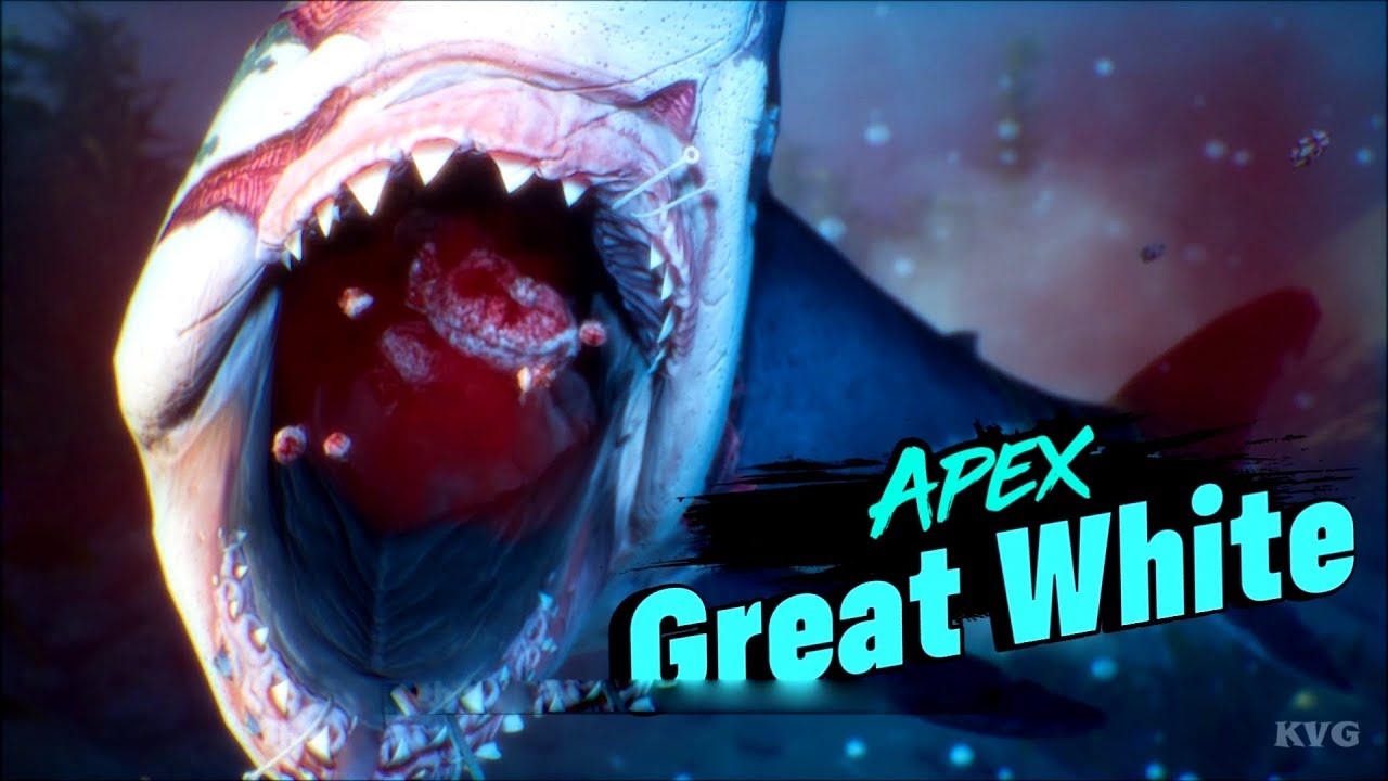 Maneater - Hunting Apex Great White - Open World Free Roam Gameplay (PC HD) [1080p60FPS]
