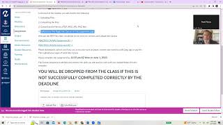 MAT 114 Online Practice Assignment Overview