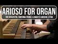 Jsbach  arioso for organ sinfonia from cantata 156 hauptwerk  noordbroek