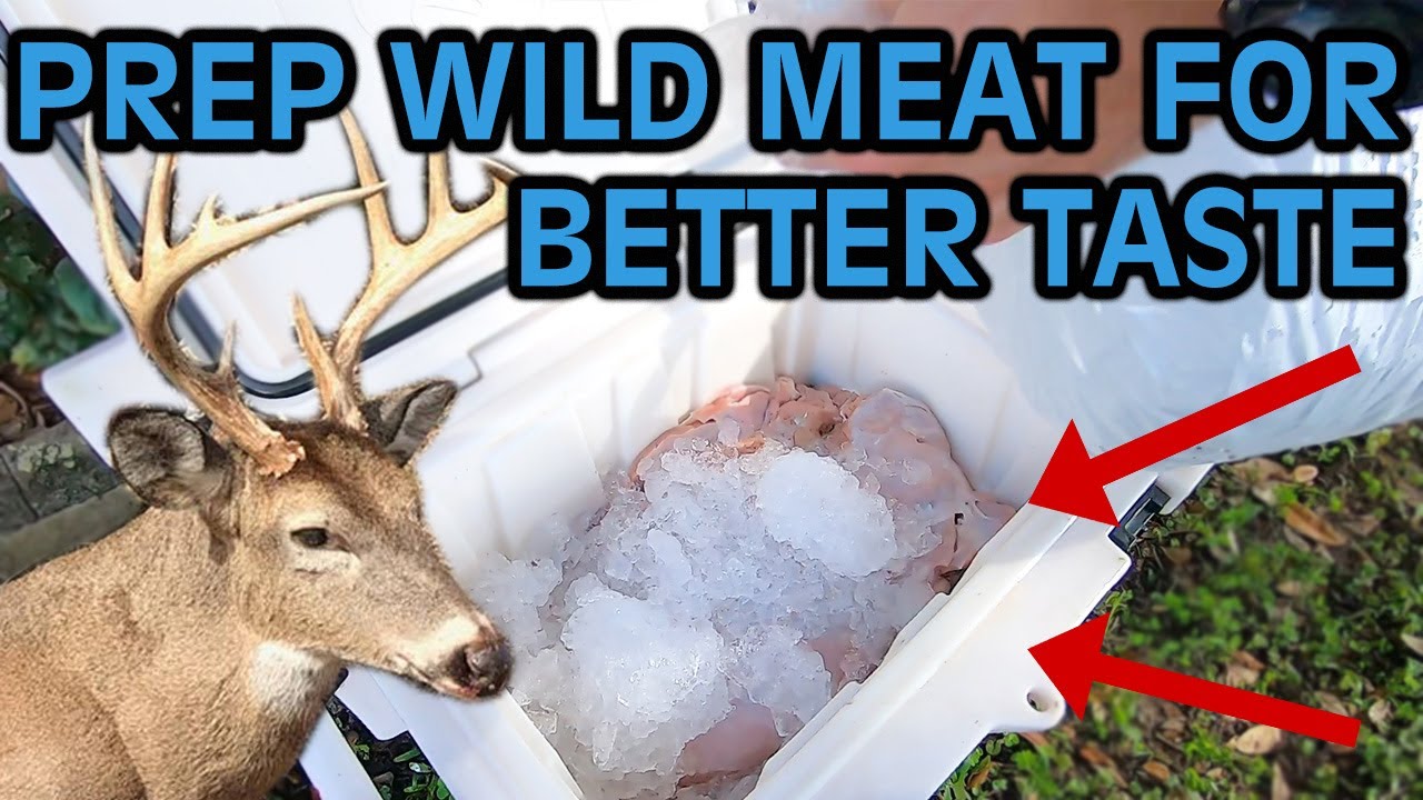 How To Prep Wild Deer Meat For Better Taste