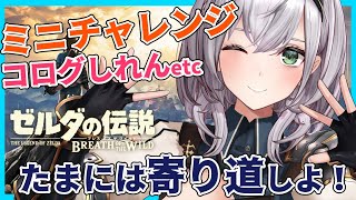 寄り道回#01【ゼルダの伝説BotW】コログしれんやミニチャレンジしよ～💪✨【白銀ノエル/ホロライブ】