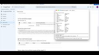 Details Google Ads API OAuth Demo Update