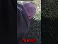 Fire THESE PIGS!!!