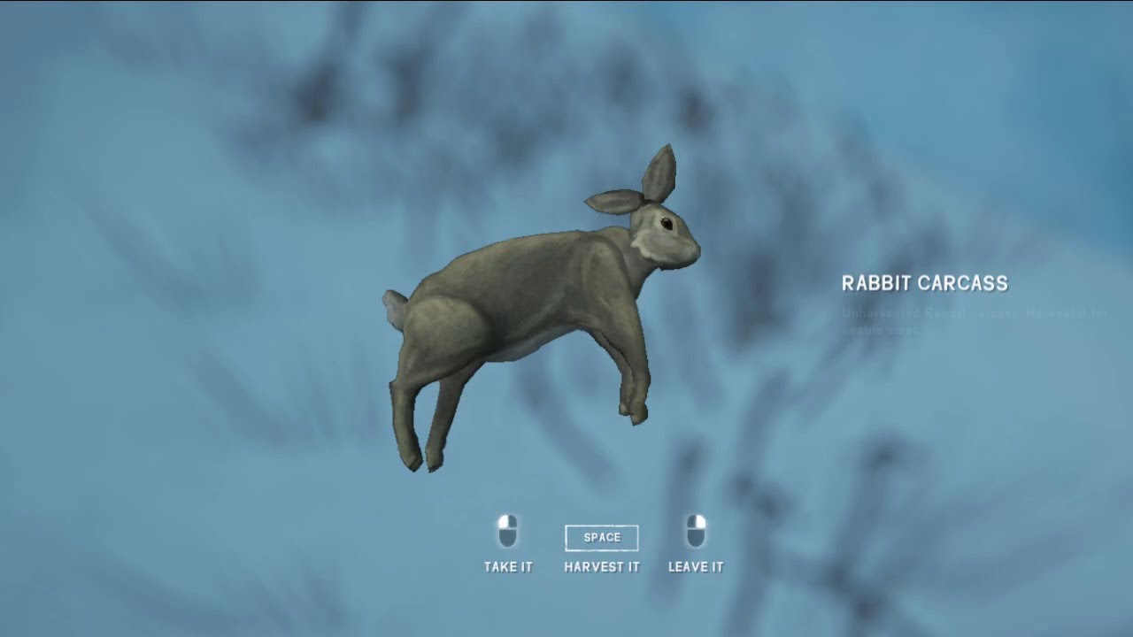 The Long Dark Mass Rabbit Snaring; 30+ snares YouTube