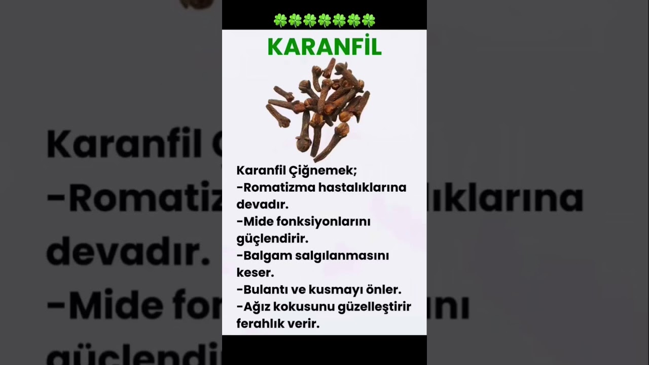 Karanfilin Şaşırtıcı Faydaları: Sağlığınıza İyi Gelecek Nedenler! 🌿
