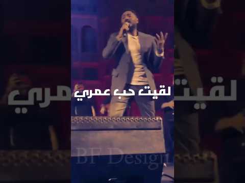 قبل منه لا محدش فرقلي تامر حسني