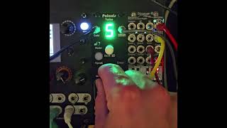 Polaxis Talko revised
