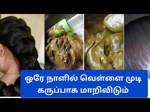 இனி டை அடிக்க வேண்டாம்! ஒரே நாளில் வெள்ளை முடி கருப்பாக Natural Hair Dye #hairdye #tamilbeauty