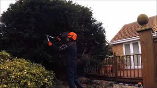 YEW REDUCTION