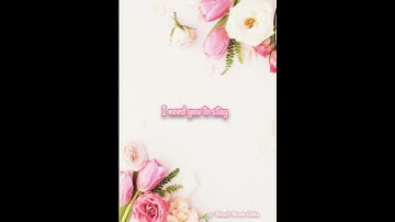Thumbnail of Stay Lyrics