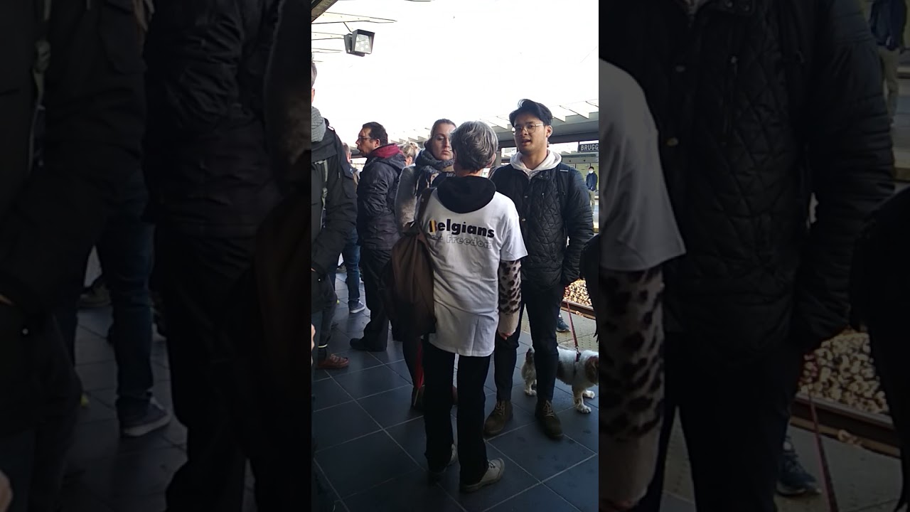 Belgen verzamelen zich in Brussel tegen kroonbeperkingen 