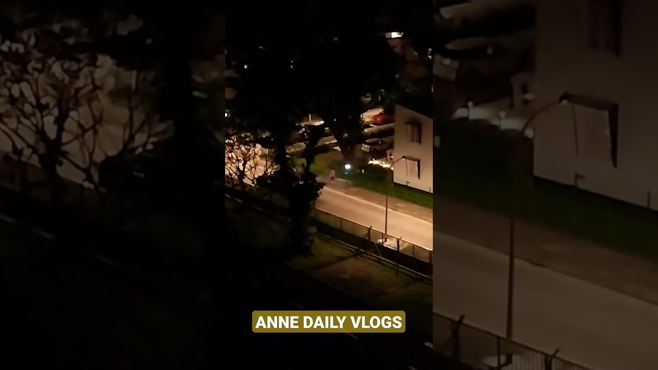 NIGHTTIME DOG WALKING 