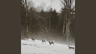 soft love screenshot 5