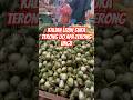 Kalian suka yang mana #shortvideo #short #short #trending #trendingshorts #fyp #viral #viralvideo