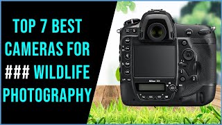 Best Camera for Wildlife Photography 2023 | Top 7 : Best Cameras for Wildlife Photography - Reviews