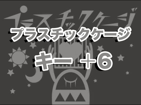 【karaoke】プラスチックケージ　キー＋6