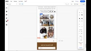 Wix Website Designer Tip: Overlapping Mobile Elements