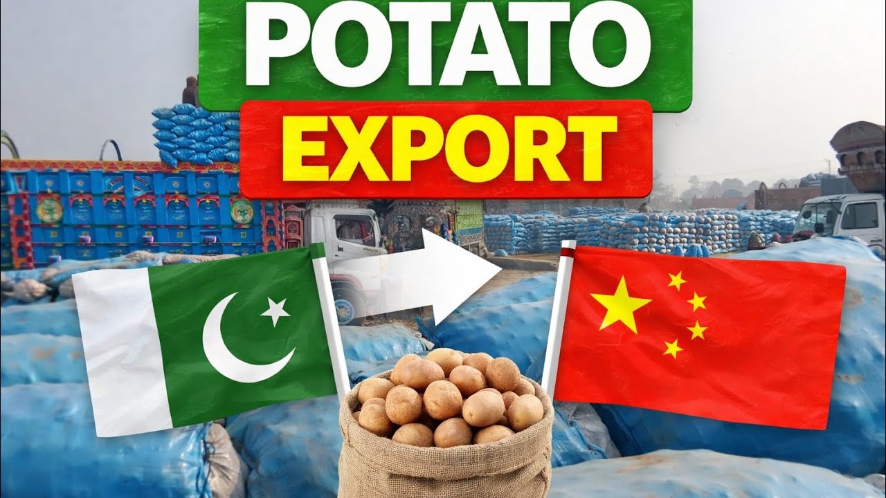 Pak China Good News 🇵🇰🇨🇳 | Potato Price Today | Pakistan Potato Export Update 2026