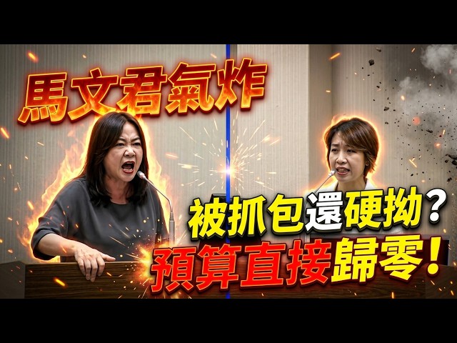 預算歸零剛好而已！僑委會李妍慧傲慢瞎扯規避監督，全民怒吼踹共！抓包大官薪水小偷！#李妍慧 #僑委會 #馬文君