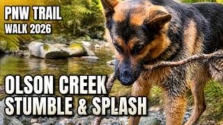 Shadow’s Creek Stop | Y Road Trail + Olson Creek | May 2026