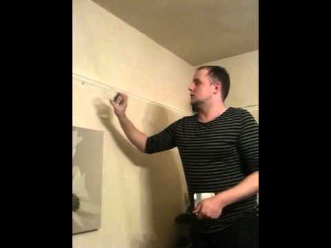 Gay Man Tries Catching Spider Youtube
