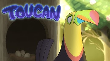 "Toucan" Animated Short Film (2022)